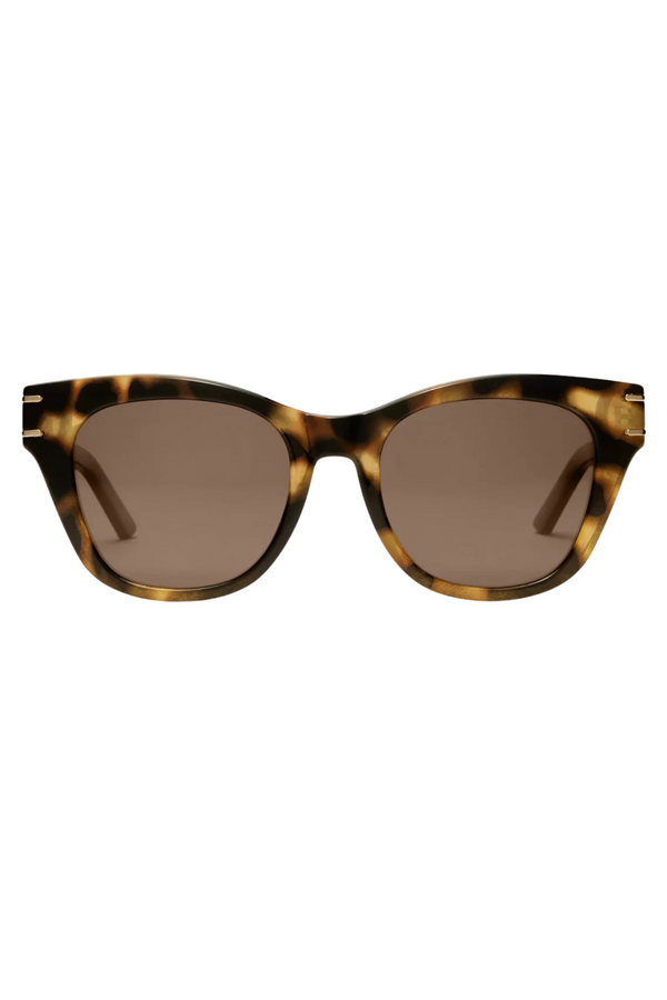 #Color_Brown-Tortoise-Brown