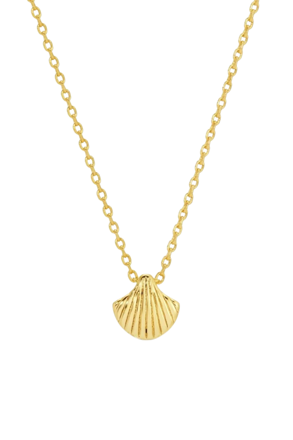 Sweetest Shell Necklace