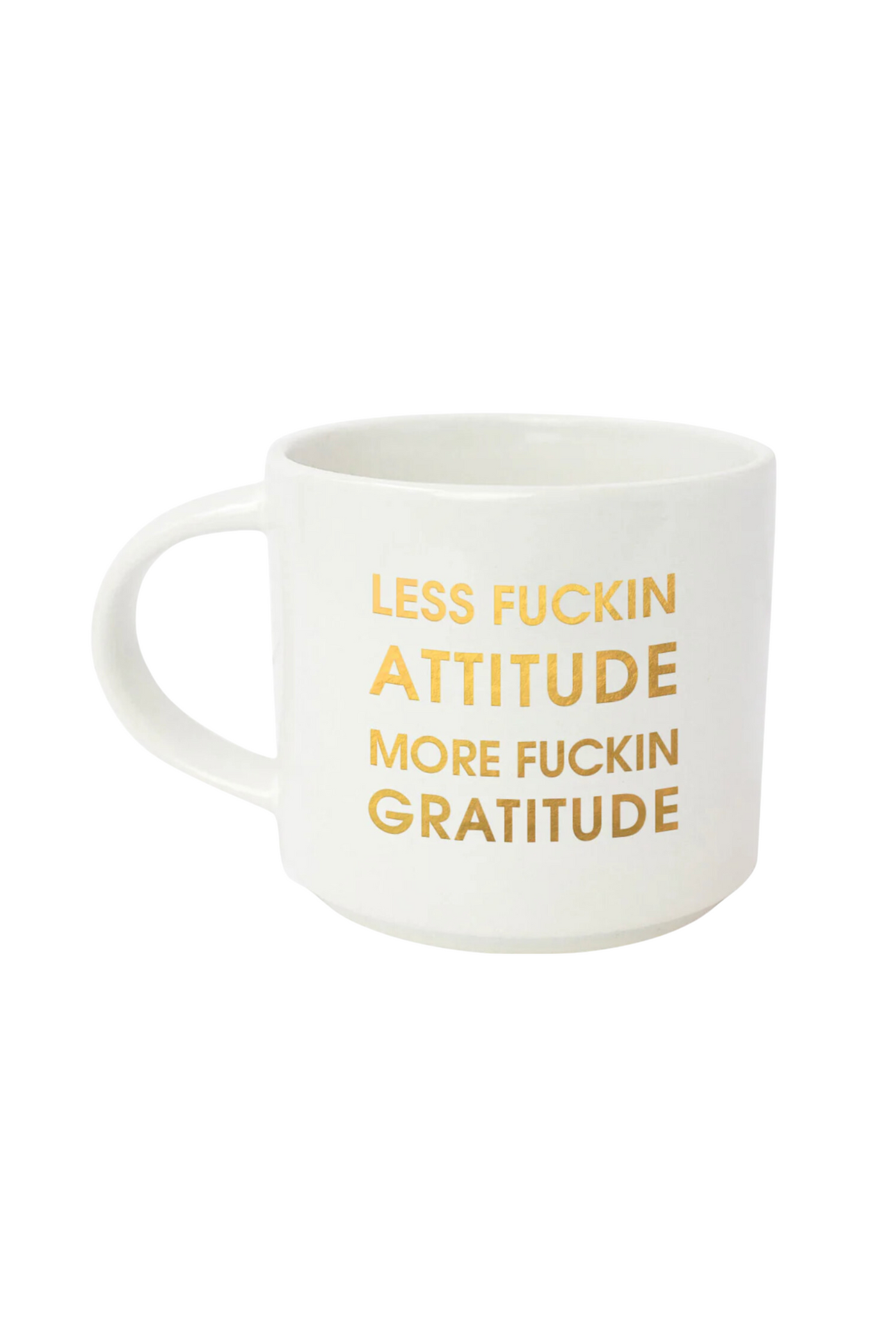 Less Fuckin Attitude, More Fuckin Gratitude Mug