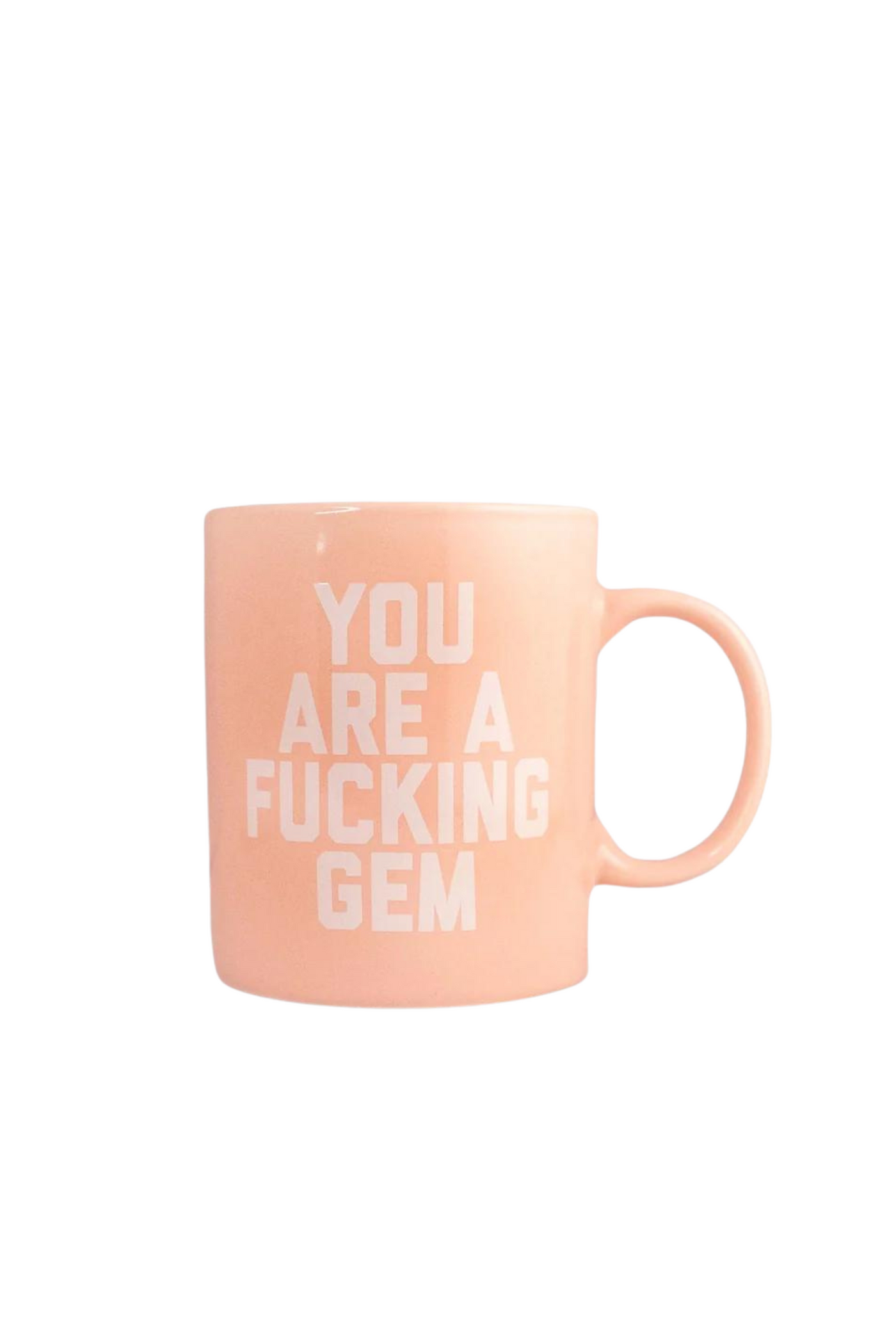 You are a Fucking Gem Mug
