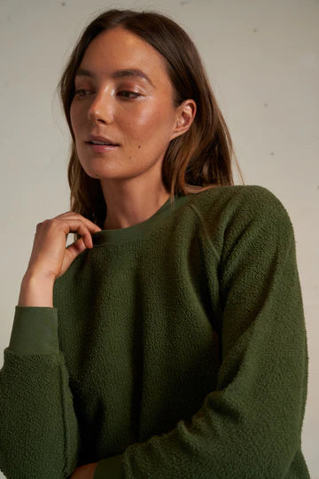 #color_fern-green